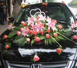 �V�����w